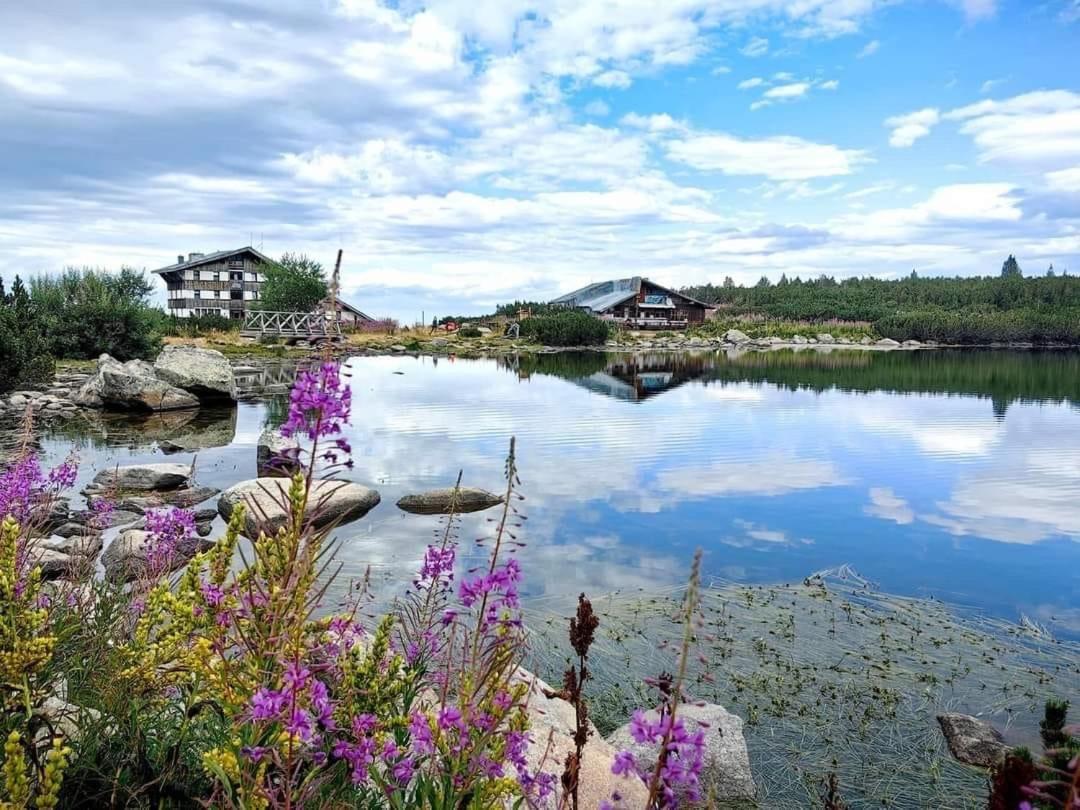 Alpine Lodge Bansko Apartments Eksteriør billede